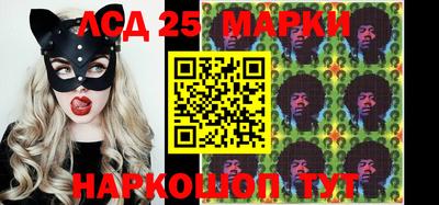 гидропоника Кулебаки