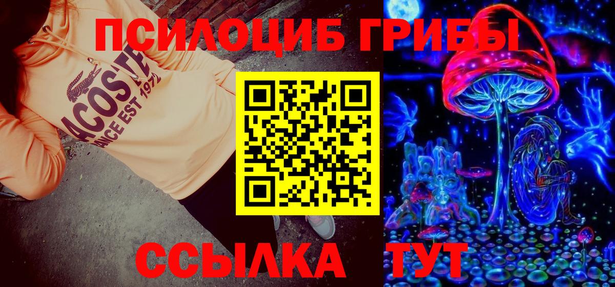 Галлюциногенные грибы прущие грибы  Псилоцибиновые грибы Psilocybe  Вход с VPN  Жигулёвск 